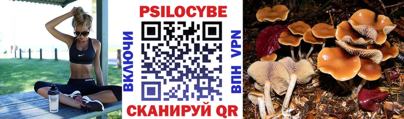 Галлюциногенные грибы Magic Shrooms  дарк нет какой сайт  Лосино-Петровский  сколько стоит 