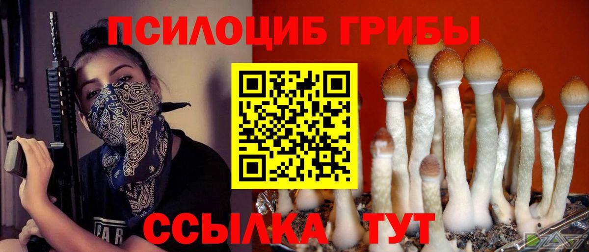 Лосино-Петровский  Галлюциногенные грибы мицелий  Галлюциногенные грибы ЛСД  Вход с VPN 