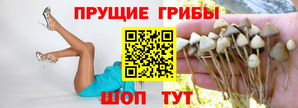 Псилоцибиновые грибы ЛСД Лосино-Петровский