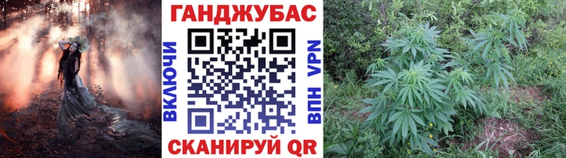 купить наркотик  Лосино-Петровский  Шишки марихуана VHQ 